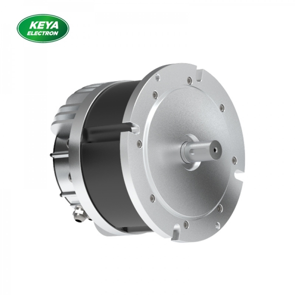 安博网页版215系列48V 4000W 1500RPM